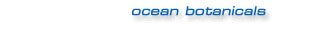 Ocean Products