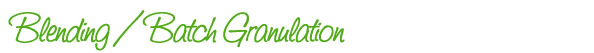 Blending/Batch Granulation